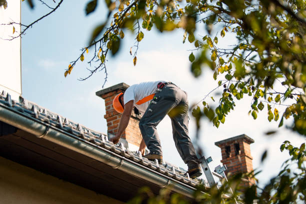 Sealant for Roof in Caledonia, MI
