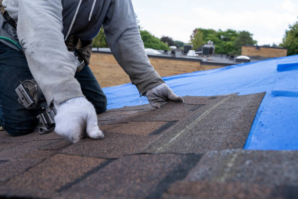 Best New Roof Installation  in Caledonia, MI