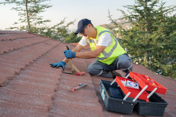Best Roof Restoration Services  in Caledonia, MI