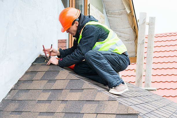 Best Roof Gutter Cleaning  in Caledonia, MI